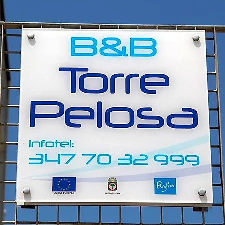 Torre Pelosa
